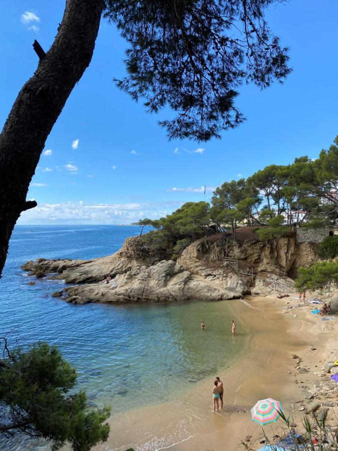 Casa Anna - Climatise, 2 Chambres, 50 M Plage, Terrasse 16M2, Wifi 플라티야 다로 외부 사진